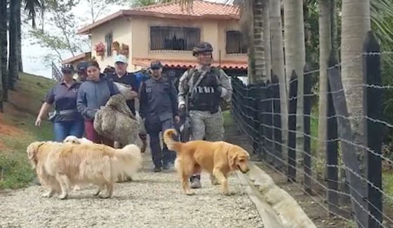 بالفيديو.. القبض على مهرب مخدرات بريطاني في مخبأ سري بمنزله في كولومبيا صورة رقم 6