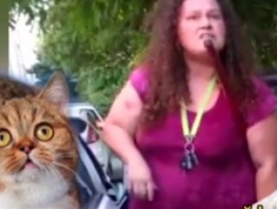 فيديو صادم.. امرأة تركية تصطاد القطط وتحولهم إلى شاورما للسوريين! صورة رقم 4