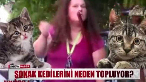 فيديو صادم.. امرأة تركية تصطاد القطط وتحولهم إلى شاورما للسوريين! صورة رقم 5