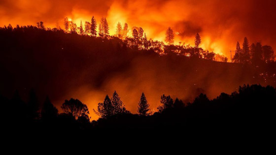 ارتفاع كبير بعدد القتلى والمفقودين جراء كامب فاير في كاليفورنيا  صورة رقم 12