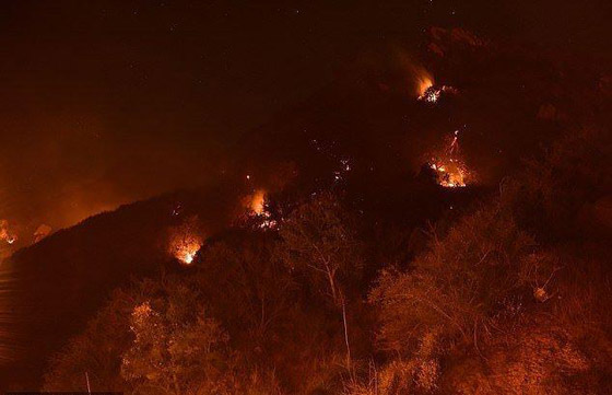 فيديو يحبس الأنفاس: شابة تصوّر لحظة هروبها بالسيارة من حرائق كاليفورنيا صورة رقم 4