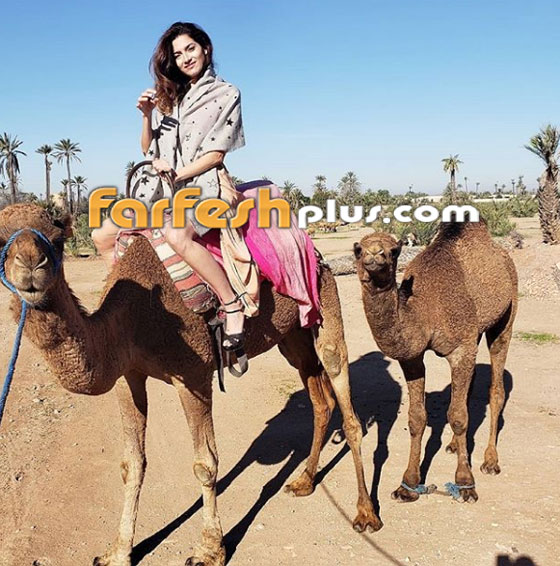 بالفيديو: نجمة عالمية تشيد بسائق اجرة مغربي ومبادرته الانسانية صورة رقم 13 بالفيديو: نجمة عالمية تشيد بسائق اجرة مغربي ومبادرته الانسانية صورة رقم 13