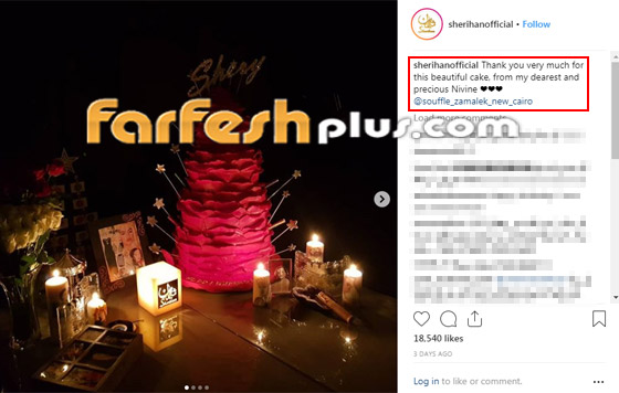 صور شريهان من حفل عيد ميلادها الـ54 ولماذا قالت (أنا مش مبسوطة)؟ صورة رقم 3 صور شريهان من حفل عيد ميلادها الـ54 ولماذا قالت (أنا مش مبسوطة)؟ صورة رقم 3