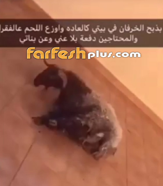 بالفيديو: كيف أثارت الاعلامية الكويتية حليمة بولند جمهورها بـ (3 خرفان)! صورة رقم 1 بالفيديو: كيف أثارت الاعلامية الكويتية حليمة بولند جمهورها بـ (3 خرفان)! صورة رقم 1