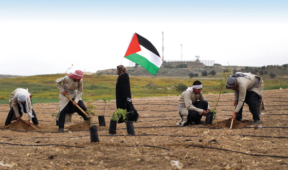 في الذكرى الـ43 ليوم الأرض الفلسطيني: شعب متمسك بأرضه وهويته الوطنية صورة رقم 11