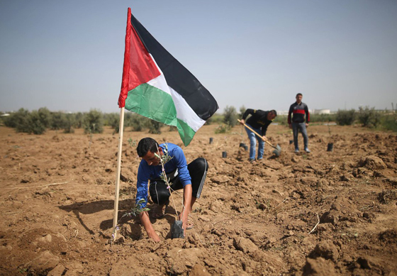 في الذكرى الـ43 ليوم الأرض الفلسطيني: شعب متمسك بأرضه وهويته الوطنية صورة رقم 14