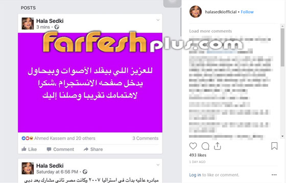 هل يقف زوج هالة صدقي وخلافاتهما الزوجية وراء الفيديو المفبرك؟ صورة رقم 1