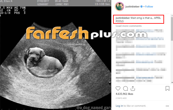 فيديو: جاستن بيبر يعلن حمل زوجته ثم يصفعها في الشارع! ما الحكاية؟ صورة رقم 3 فيديو: جاستن بيبر يعلن حمل زوجته ثم يصفعها في الشارع! ما الحكاية؟ صورة رقم 3