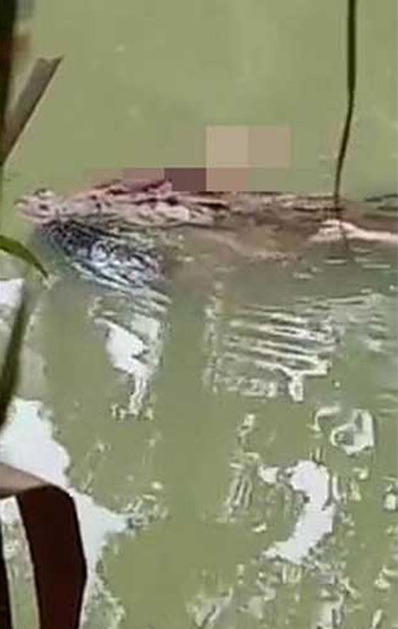 فيديو صادم: تمساح ضخم يمسك رجل بين فكيه صورة رقم 3