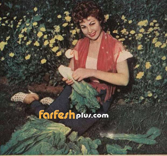 بالفيديو والصور: نجوم الزمن الجميل يحتفلون بشم النسيم صورة رقم 4 بالفيديو والصور: نجوم الزمن الجميل يحتفلون بشم النسيم صورة رقم 4