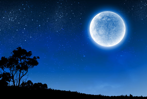 سقوط الشهب والقمر الأزرق.. ظواهر فلكية نادرة سيشهدها هذا الشهر صورة رقم 7