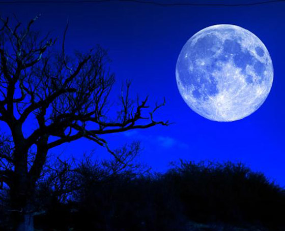 سقوط الشهب والقمر الأزرق.. ظواهر فلكية نادرة سيشهدها هذا الشهر صورة رقم 9