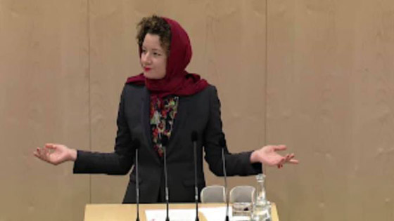 بالفيديو: نائبة نمساوية ترتدي الحجاب وتوجه رسالة من البرلمان  صورة رقم 3