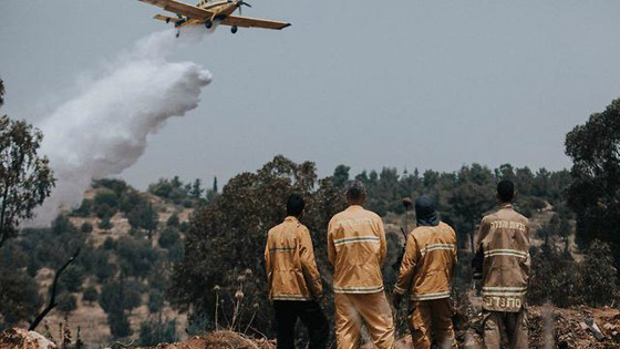 إسرائيل تستنجد بالدول لمساعدتها في إخماد الحرائق الضخمة! فيديو وصور صورة رقم 6