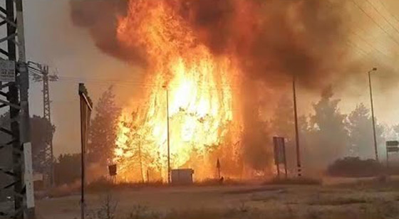إسرائيل تستنجد بالدول لمساعدتها في إخماد الحرائق الضخمة! فيديو وصور صورة رقم 8