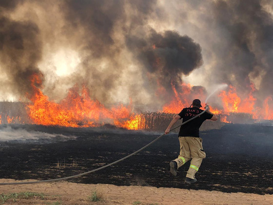 إسرائيل تستنجد بالدول لمساعدتها في إخماد الحرائق الضخمة! فيديو وصور صورة رقم 10