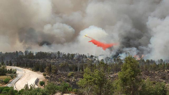 إسرائيل تستنجد بالدول لمساعدتها في إخماد الحرائق الضخمة! فيديو وصور صورة رقم 15