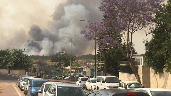 إسرائيل تستنجد بالدول لمساعدتها في إخماد الحرائق الضخمة! فيديو وصور صورة رقم 17
