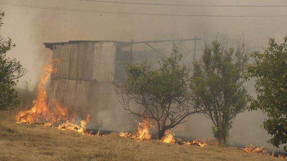 إسرائيل تستنجد بالدول لمساعدتها في إخماد الحرائق الضخمة! فيديو وصور صورة رقم 18