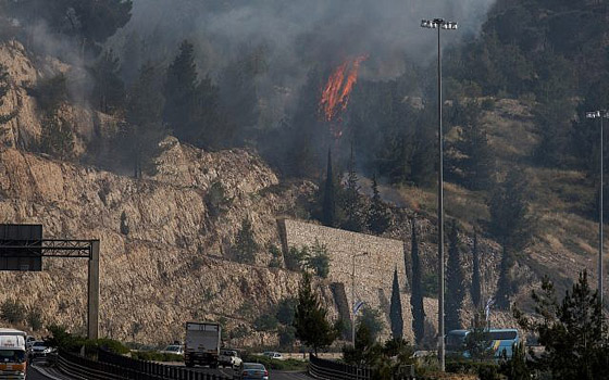 إسرائيل تستنجد بالدول لمساعدتها في إخماد الحرائق الضخمة! فيديو وصور صورة رقم 23