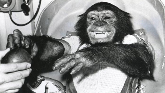 أبرز محطات سفر الحيوانات إلى الفضاء بالذكرى الـ60 لوصول أول قرد صورة رقم 4