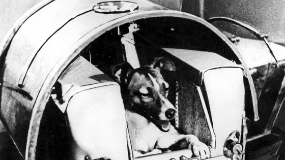 أبرز محطات سفر الحيوانات إلى الفضاء بالذكرى الـ60 لوصول أول قرد صورة رقم 5