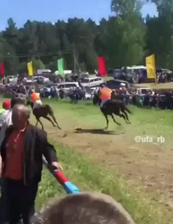 فيديو صادم: حصان جامح يرمي بفارسه ويخترق الجمهور صورة رقم 1