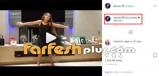 فيديو ابنة شيرين عبد الوهاب ترقص بمهارة على أغنية والدتها (زمان) صورة رقم 1 فيديو ابنة شيرين عبد الوهاب ترقص بمهارة على أغنية والدتها (زمان) صورة رقم 1