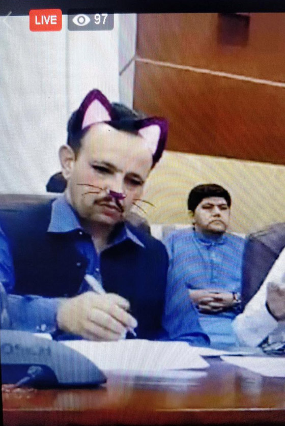 وزير باكستاني يظهر في فلتر القطة في بث مباشر لمؤتمر صحافي صورة رقم 4