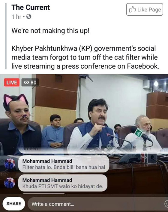 وزير باكستاني يظهر في فلتر القطة في بث مباشر لمؤتمر صحافي صورة رقم 5
