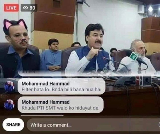 وزير باكستاني يظهر في فلتر القطة في بث مباشر لمؤتمر صحافي صورة رقم 6