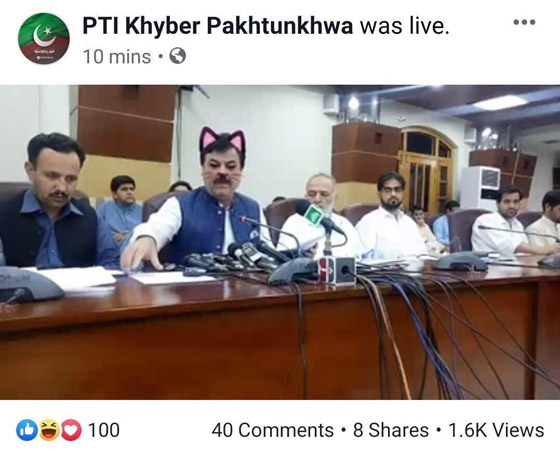 وزير باكستاني يظهر في فلتر القطة في بث مباشر لمؤتمر صحافي صورة رقم 2