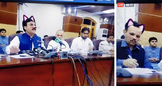 وزير باكستاني يظهر في فلتر القطة في بث مباشر لمؤتمر صحافي صورة رقم 8