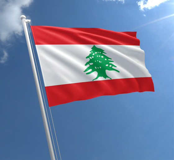 من أطلق على الدول العربية أسماءها؟ وما هو سبب اختيار الاسم؟ صورة رقم 11