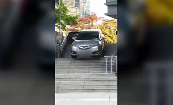 فيديو: سيدة تقود سيارتها على درج في كندا صورة رقم 2
