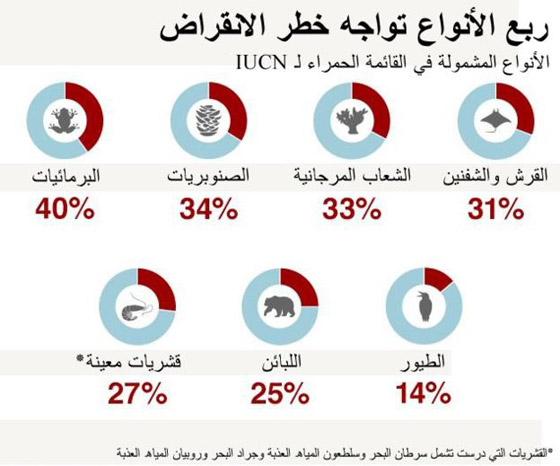 هل لدينا الوقت لإنقاذ كوكبنا من الإحتباس الحراري؟ الفترة الحقيقية ستخيفك! صورة رقم 12