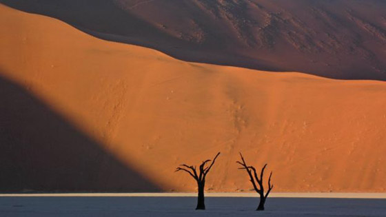 مخترع يصبح مليونيرا بفضل بيع أحجار عادية صورة رقم 10