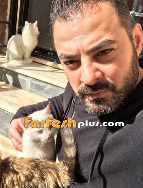 هل تذكرون نجم سوبر ستار الوسيم شادي أسود؟ شاهدوا كيف أصبح الآن! صورة رقم 6 هل تذكرون نجم سوبر ستار الوسيم شادي أسود؟ شاهدوا كيف أصبح الآن! صورة رقم 6