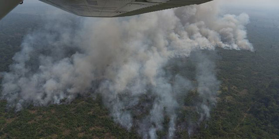 بالفيديو.. طائرات حربية تكافح حرائق الأمازون صورة رقم 10