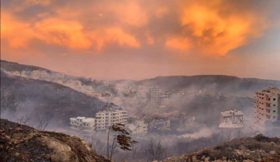 فيديوهات مؤلمة تدمي القلب.. لبنان يحترق والإطفاء خارج الخدمة! صورة رقم 8