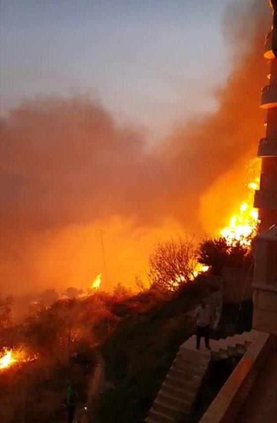 فيديوهات مؤلمة تدمي القلب.. لبنان يحترق والإطفاء خارج الخدمة! صورة رقم 10