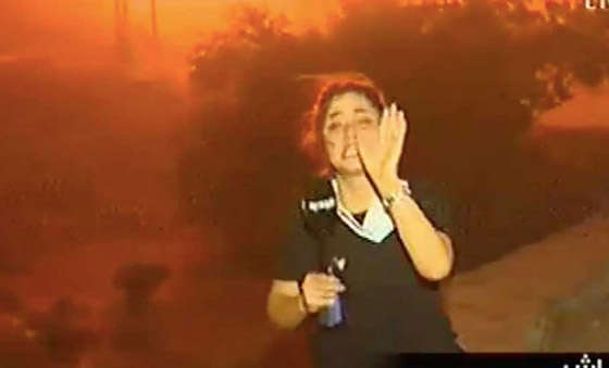فيديوهات مؤلمة تدمي القلب.. لبنان يحترق والإطفاء خارج الخدمة! صورة رقم 6