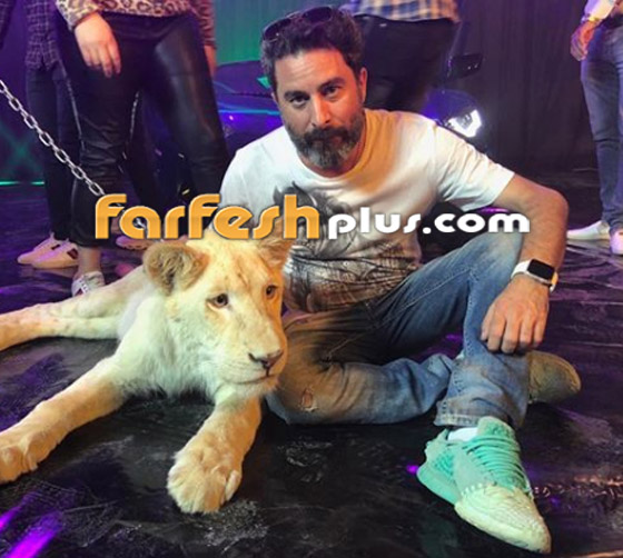 بالفيديو: هادي الباجوري يكشف حقيقة طلاقه من زوجته ياسمين رئيس صورة رقم 14 بالفيديو: هادي الباجوري يكشف حقيقة طلاقه من زوجته ياسمين رئيس صورة رقم 14