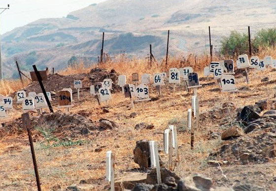 إسرائيل لن تفرج عن جثامين الفلسطينيين.. والسلطة تندد صورة رقم 3