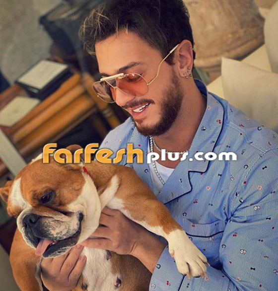 سعد لمجرد يفصح عن مهنته قبل شهرته في مجال الفن.. صور صورة رقم 7 سعد لمجرد يفصح عن مهنته قبل شهرته في مجال الفن.. صور صورة رقم 7