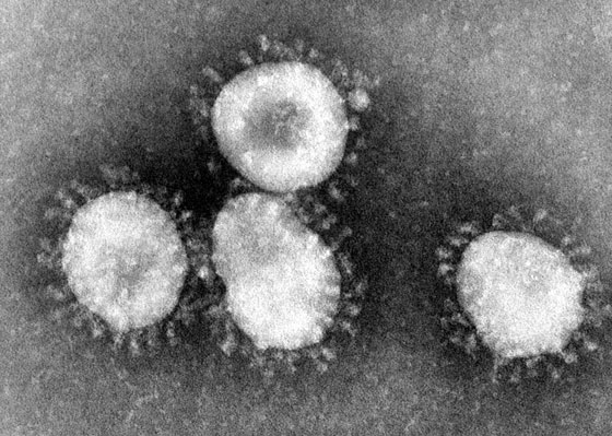 الفيروس المرعب يصيب 440 شخصا في الصين ويزحف لباقي العالم! صورة رقم 1