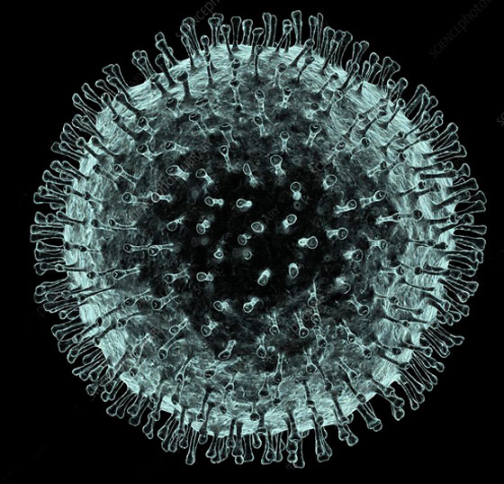 الفيروس المرعب يصيب 440 شخصا في الصين ويزحف لباقي العالم! صورة رقم 6
