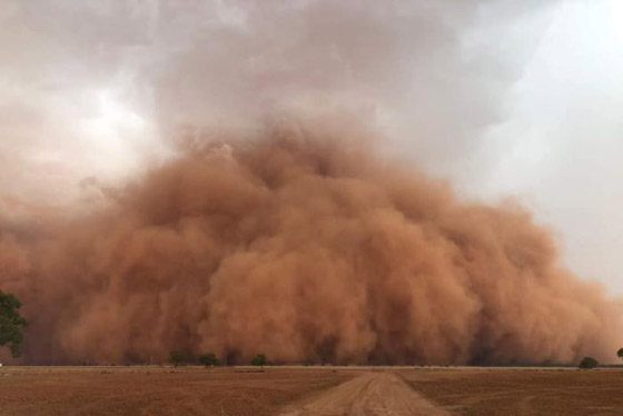 بعد الحرائق والأمطار.. عاصفة ترابية عملاقة تضرب أستراليا! صورة رقم 12