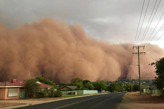 بعد الحرائق والأمطار.. عاصفة ترابية عملاقة تضرب أستراليا! صورة رقم 13