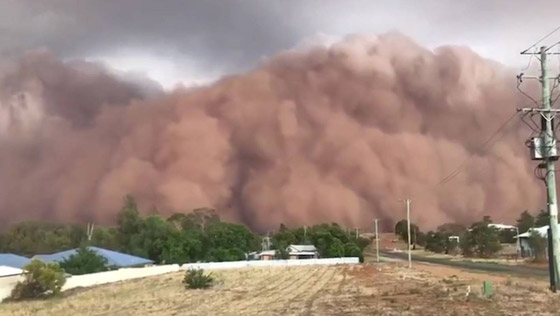 بعد الحرائق والأمطار.. عاصفة ترابية عملاقة تضرب أستراليا! صورة رقم 17